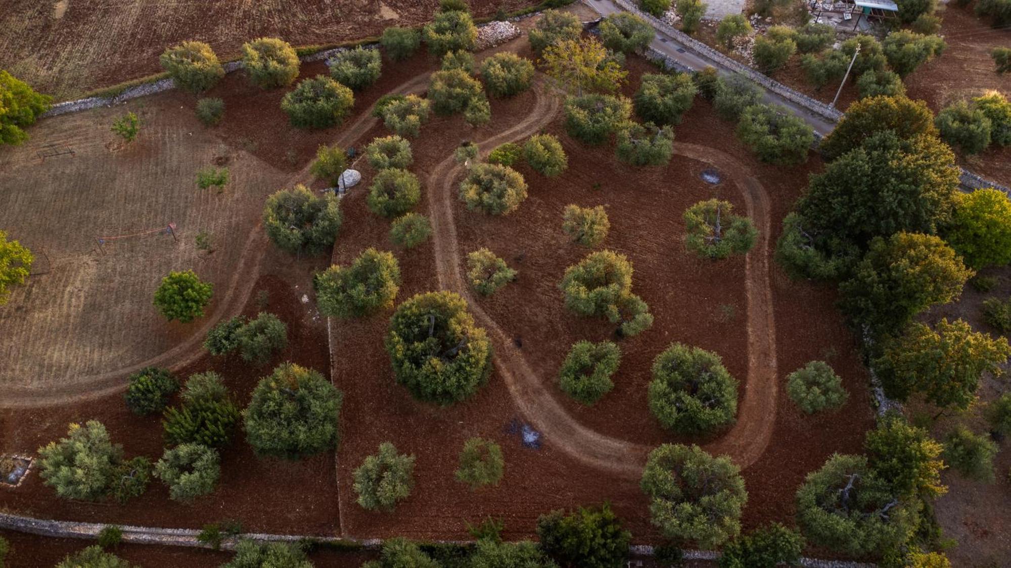 Вилла Il Trullo Della Rondinina Альберобелло Экстерьер фото